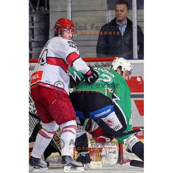 Mitja Robar and Greg Kuznik in action during ice-hockey match Tilia Olimpija- Acroni Jesenice in Ebel league, played in Hala Tivoli, Ljubljana, Slovenia 27.11.2009. 