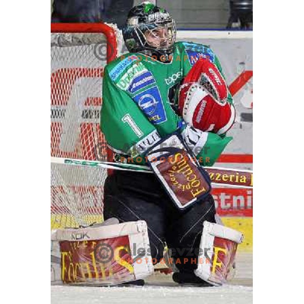 Ales Sila in action during ice-hockey match Tilia Olimpija- Acroni Jesenice in Ebel league, played in Hala Tivoli, Ljubljana, Slovenia 27.11.2009. 