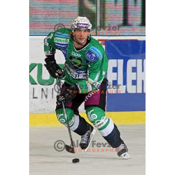 Jurij Golicic in action during ice-hockey match Tilia Olimpija- Acroni Jesenice in Ebel league, played in Hala Tivoli, Ljubljana, Slovenia 27.11.2009 