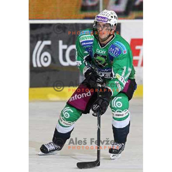 Jurij Golicic in action during ice-hockey match Tilia Olimpija- Acroni Jesenice in Ebel league, played in Hala Tivoli, Ljubljana, Slovenia 27.11.2009 