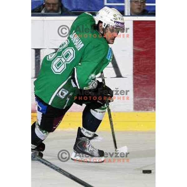 Frank Banham in action during ice-hockey match Tilia Olimpija- Acroni Jesenice in Ebel league, played in Hala Tivoli, Ljubljana, Slovenia 27.11.2009 