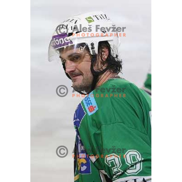 Frank Banham celebrates goal during ice-hockey match Tilia Olimpija- Acroni Jesenice in Ebel league, played in Hala Tivoli, Ljubljana, Slovenia 27.11.2009 