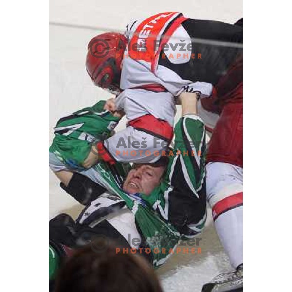 Egon Muric and Robert Sablic in fist fight during ice-hockey match Tilia Olimpija- Acroni Jesenice in Ebel league, played in Hala Tivoli, Ljubljana, Slovenia 27.11.2009 