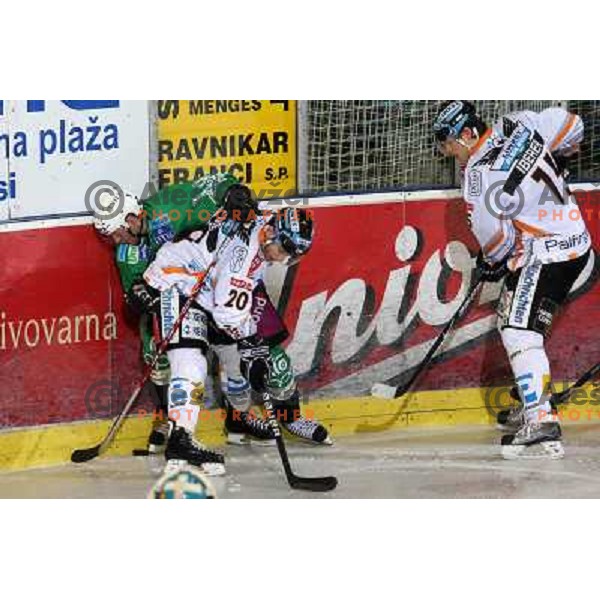 Matej Hocevar in action during ice-hockey match Tilia Olimpija-Liwest Linz in Ebel league, played in Hala Tivoli, Ljubljana 6.12.2009 