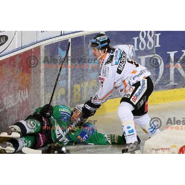 Egon Muric in action during ice-hockey match Tilia Olimpija-Liwest Linz in Ebel league, played in Hala Tivoli, Ljubljana 6.12.2009 