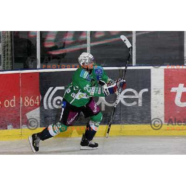 Travis Brigley celebrate goal during ice-hockey match Tilia Olimpija-Liwest Linz in Ebel league, played in Hala Tivoli, Ljubljana 6.12.2009 