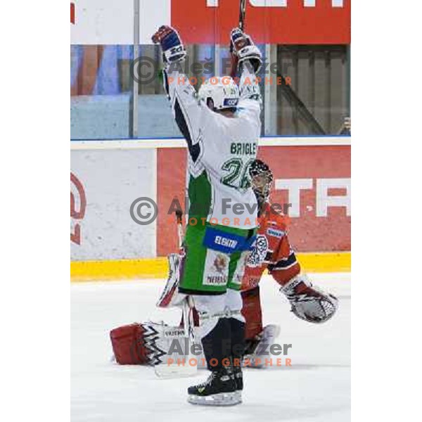 Travis Brigley scores goal during ice-hockey match Acroni Jesenice- Tilia Olimpija in Ebel league, played in Podmezakla Hall, Jesenice 4.12.2009 