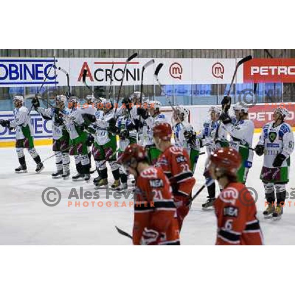 Victory celebration after ice-hockey match Acroni Jesenice- Tilia Olimpija in Ebel league, played in Podmezakla Hall, Jesenice 4.12.2009 