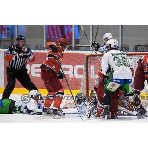 Ales Sila, Banham in action during ice-hockey match Acroni Jesenice- Tilia Olimpija in Ebel league, played in Podmezakla Hall, Jesenice 4.12.2009 