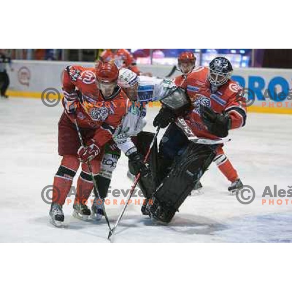 Matej Hocevar, Grumet-Morris in action during ice-hockey match Acroni Jesenice- Tilia Olimpija in Ebel league, played in Podmezakla Hall, Jesenice 4.12.2009 