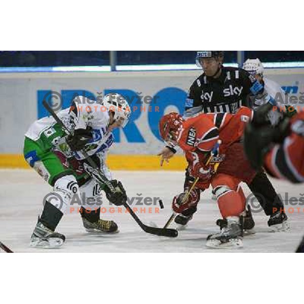  action during ice-hockey match Acroni Jesenice- Tilia Olimpija in Ebel league, played in Podmezakla Hall, Jesenice 4.12.2009 