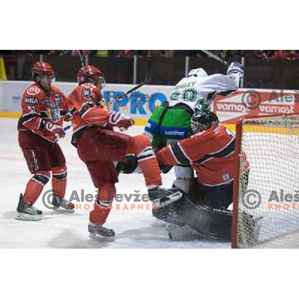 Grumet-Morris, Travis Brigley in action during ice-hockey match Acroni Jesenice- Tilia Olimpija in Ebel league, played in Podmezakla Hall, Jesenice 4.12.2009 