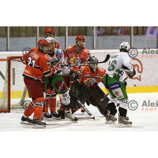 Pretnar, Hebar,Muric, Music and Grumet-Morris in action during ice-hockey match Acroni Jesenice- Tilia Olimpija in Ebel league, played in Podmezakla Hall, Jesenice 4.12.2009 