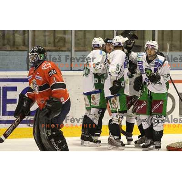 Goal celebration during ice-hockey match Acroni Jesenice- Tilia Olimpija in Ebel league, played in Podmezakla Hall, Jesenice 4.12.2009 