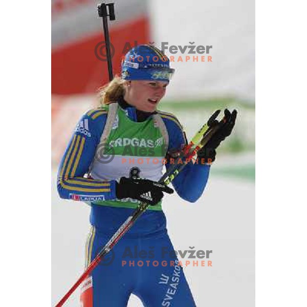 Jenny Jonsson in action during E-on Ruhrgas IBU Biathlon world cup, 17.12.2009, Pokljuka, Slovenia 