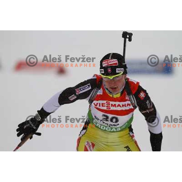 in action during E-on Ruhrgas IBU Biathlon world cup, 7.5km women sprint, 19.12.2009, Pokljuka, Slovenia 