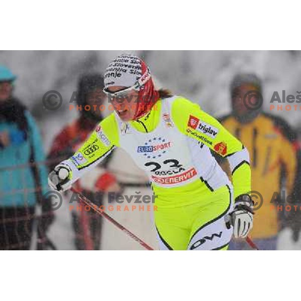 Fabjan at the Sprint of the Cross-Country FIS World Cup, Rogla, Slovenia, 19.12.2009, 