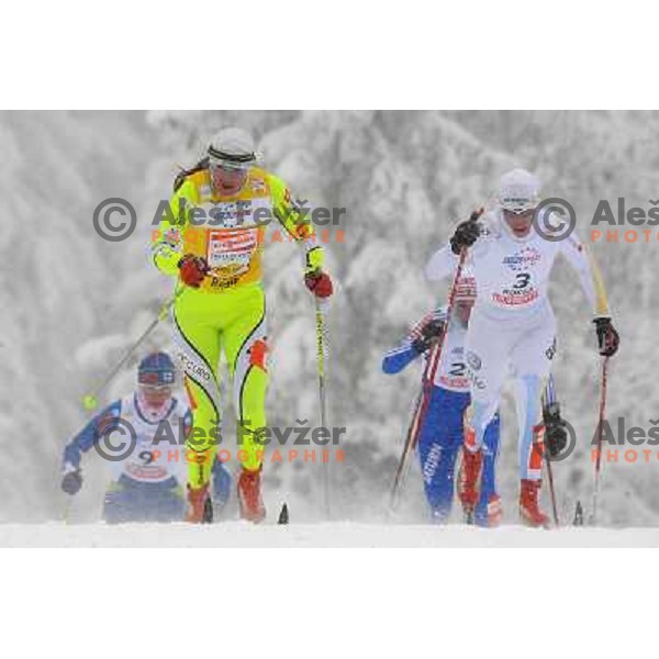 Majdic at the Sprint of the Cross-Country FIS World Cup, Rogla, Slovenia, 19.12.2009, 