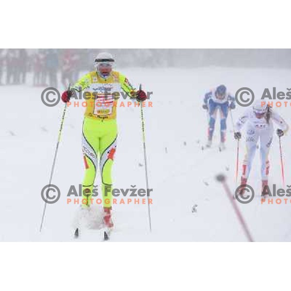 Majdic at the Sprint of the Cross-Country FIS World Cup, Rogla, Slovenia, 19.12.2009, 