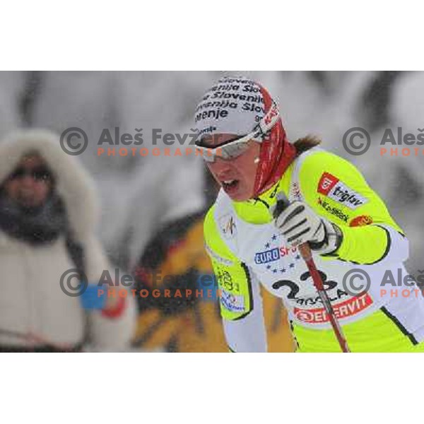 Fabjan at the Sprint of the Cross-Country FIS World Cup, Rogla, Slovenia, 19.12.2009, 