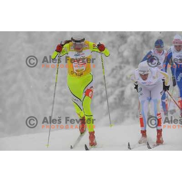 Majdic at the Sprint of the Cross-Country FIS World Cup, Rogla, Slovenia, 19.12.2009, 