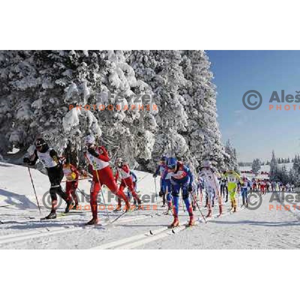 Majdic Petra at the 15km Classic Mass Start of the Cross-Country FIS World Cup, Rogla, Slovenia, 20.12.2009, 