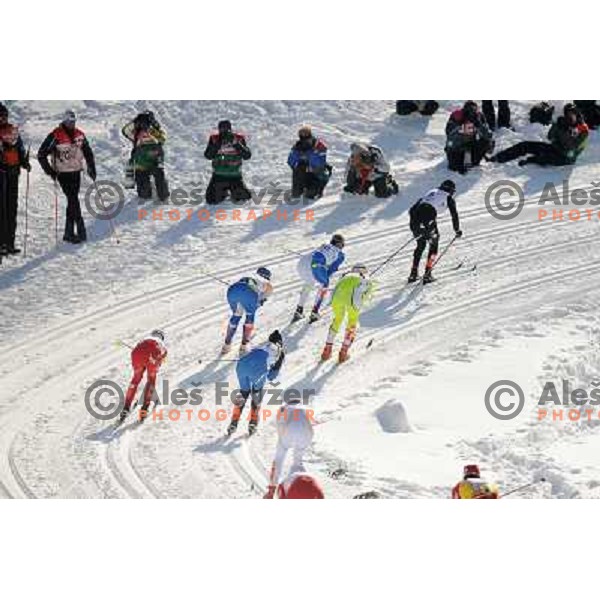Photographers and Majdic Petra at the 15km Classic Mass Start of the Cross-Country FIS World Cup, Rogla, Slovenia, 20.12.2009, 