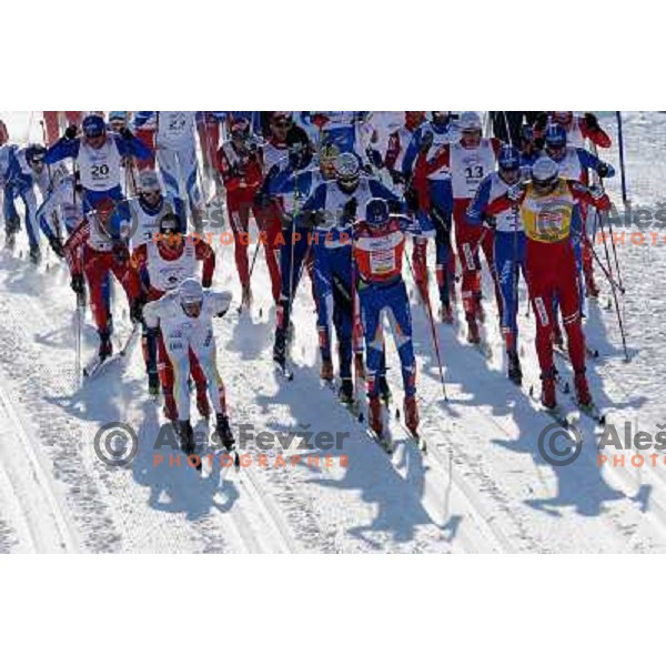 Competitiors at the 30km Classic Mass Start of the Cross-Country FIS World Cup, Rogla, Slovenia, 20.12.2009, 