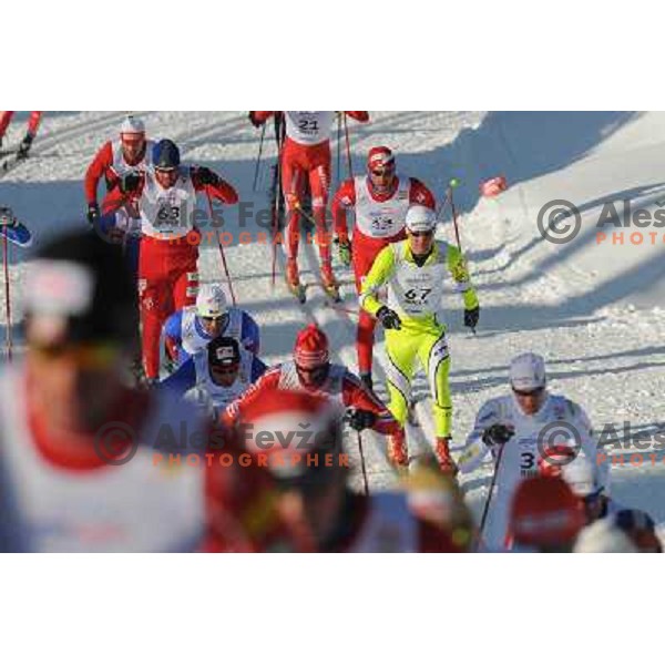 Potocnik Domen at the 30km Classic Mass Start of the Cross-Country FIS World Cup, Rogla, Slovenia, 20.12.2009, 