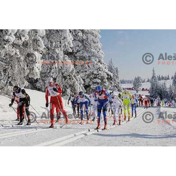 Majdic Petra at the 15km Classic Mass Start of the Cross-Country FIS World Cup, Rogla, Slovenia, 20.12.2009, 