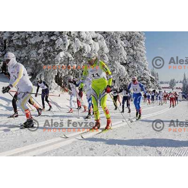Majdic Petra at the 15km Classic Mass Start of the Cross-Country FIS World Cup, Rogla, Slovenia, 20.12.2009, 