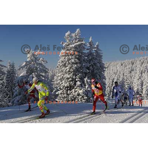 Majdic Petra at the 15km Classic Mass Start of the Cross-Country FIS World Cup, Rogla, Slovenia, 20.12.2009, 