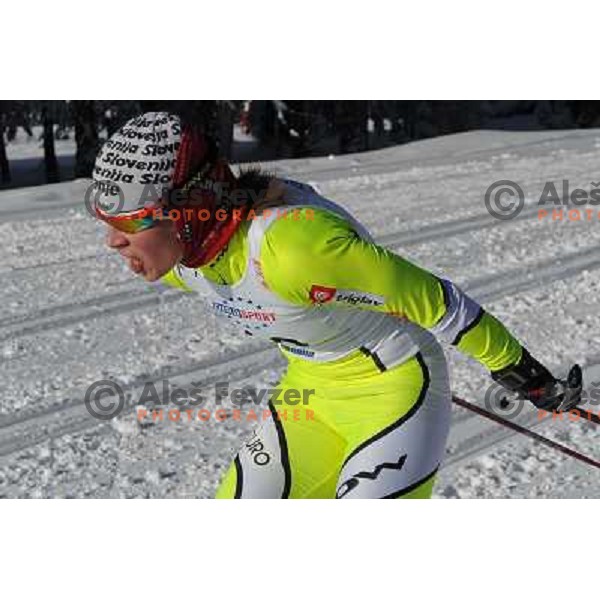 Fabjan Vesna at the 15km Classic Mass Start of the Cross-Country FIS World Cup, Rogla, Slovenia, 20.12.2009, 