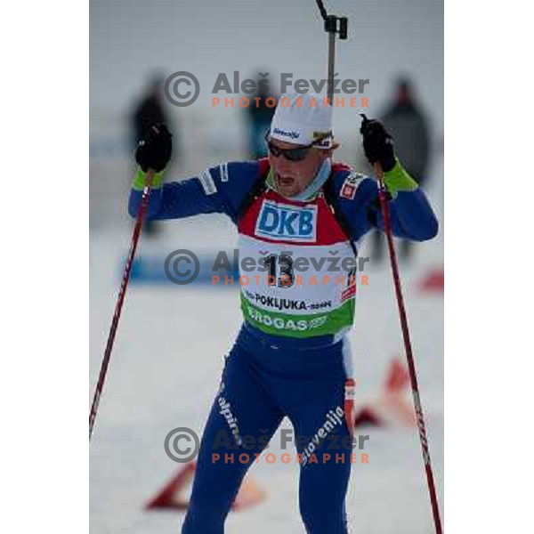 during E-on Ruhrgas IBU Biatlon World Cup, women 10km Pursuit, 20.12.2009, Pokljuka, Slovenia 