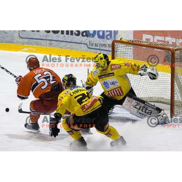 Duck, Casparson in action during ice-hockey match Acroni Jesenice- EV Vienna Capitals in round 34 of Ebel League, played in Podmezakla Hall, Jesenice, Slovenia 20.12.2009. 