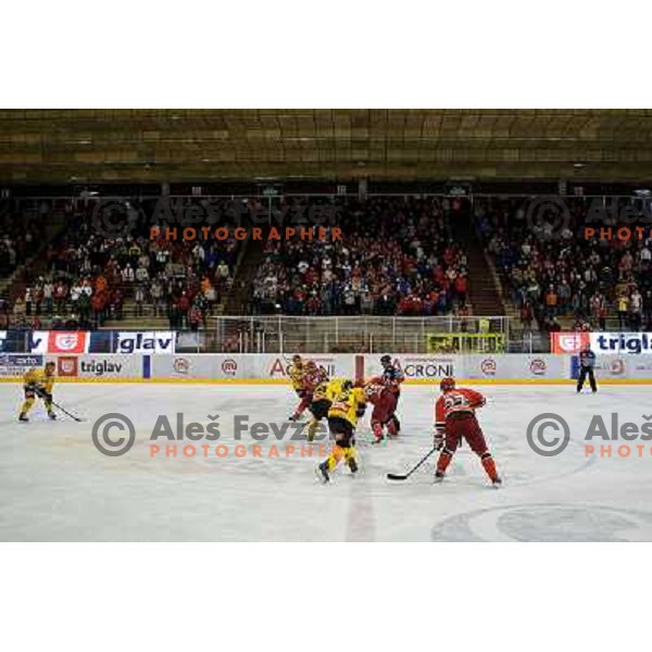  ice-hockey match Acroni Jesenice- EV Vienna Capitals in round 34 of Ebel League, played in Podmezakla Hall, Jesenice, Slovenia 20.12.2009. 