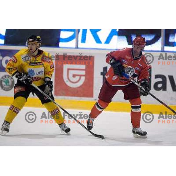 Todd Elik in action during ice-hockey match Acroni Jesenice- EV Vienna Capitals in round 34 of Ebel League, played in Podmezakla Hall, Jesenice, Slovenia 20.12.2009. 