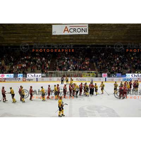  ice-hockey match Acroni Jesenice- EV Vienna Capitals in round 34 of Ebel League, played in Podmezakla Hall, Jesenice, Slovenia 20.12.2009. 