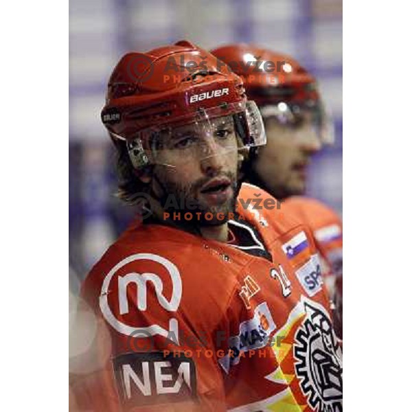 Terlikar in action during ice-hockey match Acroni Jesenice- EV Vienna Capitals in round 34 of Ebel League, played in Podmezakla Hall, Jesenice, Slovenia 20.12.2009. 