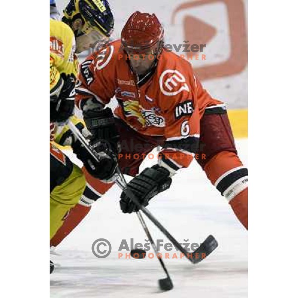 Todd Elik in action during ice-hockey match Acroni Jesenice- EV Vienna Capitals in round 34 of Ebel League, played in Podmezakla Hall, Jesenice, Slovenia 20.12.2009. 