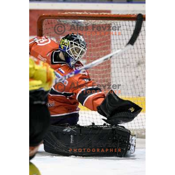 Dov Gurmet-Morris in action during ice-hockey match Acroni Jesenice- EV Vienna Capitals in round 34 of Ebel League, played in Podmezakla Hall, Jesenice, Slovenia 20.12.2009. 