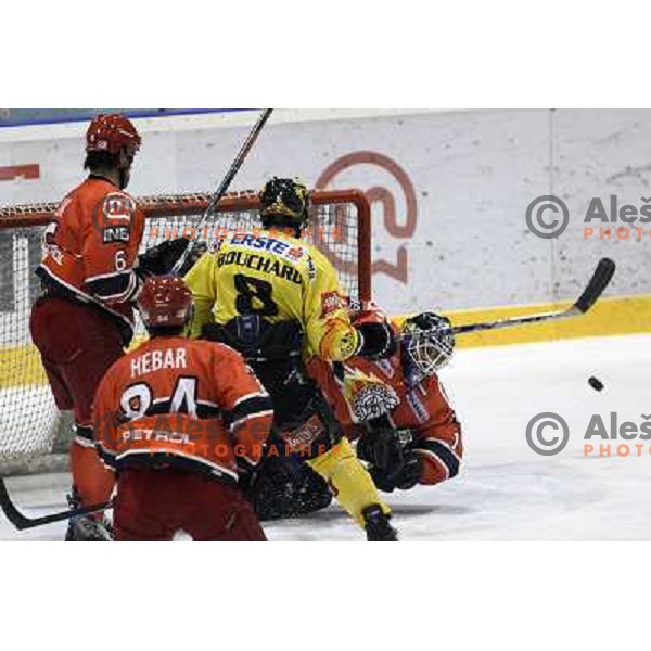 Todd Elik , Andrej Hebar, Gurmet-Morris in action during ice-hockey match Acroni Jesenice- EV Vienna Capitals in round 34 of Ebel League, played in Podmezakla Hall, Jesenice, Slovenia 20.12.2009. 