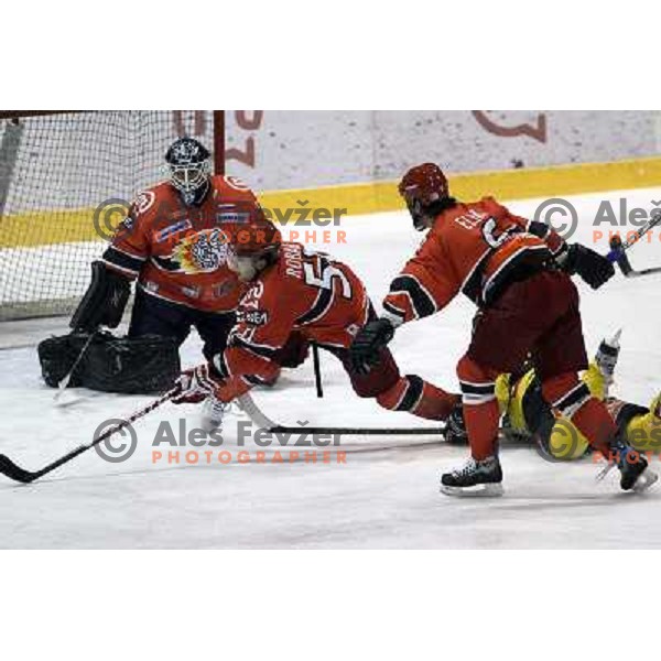 Todd Elik , Mitja Robar, Gurmet-Morris in action during ice-hockey match Acroni Jesenice- EV Vienna Capitals in round 34 of Ebel League, played in Podmezakla Hall, Jesenice, Slovenia 20.12.2009. 