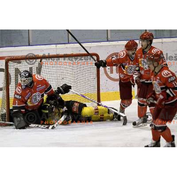  in action during ice-hockey match Acroni Jesenice- EV Vienna Capitals in round 34 of Ebel League, played in Podmezakla Hall, Jesenice, Slovenia 20.12.2009. 
