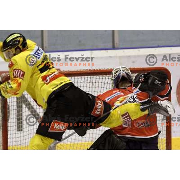 Dov Gurmet-Morris in action during ice-hockey match Acroni Jesenice- EV Vienna Capitals in round 34 of Ebel League, played in Podmezakla Hall, Jesenice, Slovenia 20.12.2009. 