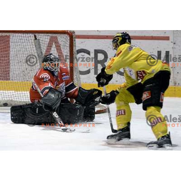 Dov Gurmet-Morris in action during ice-hockey match Acroni Jesenice- EV Vienna Capitals in round 34 of Ebel League, played in Podmezakla Hall, Jesenice, Slovenia 20.12.2009. 