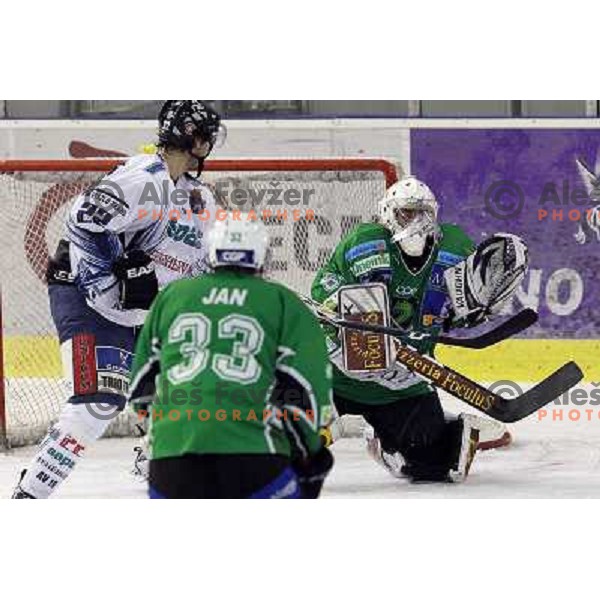  Matija Pintaric in action during ice-hockey match Tilia Olimpija- Sapa Fehervar in round 40 of Ebel league, played in Hala Tivoli, Ljubljana, Slovenia 5.01.2010 