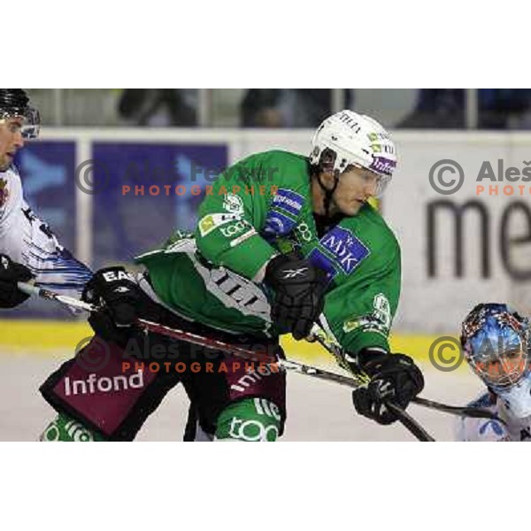 Henry in action during ice-hockey match Tilia Olimpija- Sapa Fehervar in round 40 of Ebel league, played in Hala Tivoli, Ljubljana, Slovenia 5.01.2010 