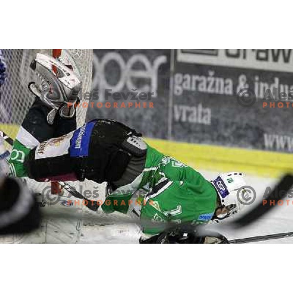 Ales Music in action during ice-hockey match Tilia Olimpija- Sapa Fehervar in round 40 of Ebel league, played in Hala Tivoli, Ljubljana, Slovenia 5.01.2010 