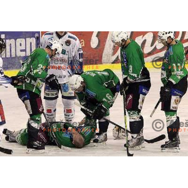 Andrej Tavzelj in action during ice-hockey match Tilia Olimpija- Sapa Fehervar in round 40 of Ebel league, played in Hala Tivoli, Ljubljana, Slovenia 5.01.2010 